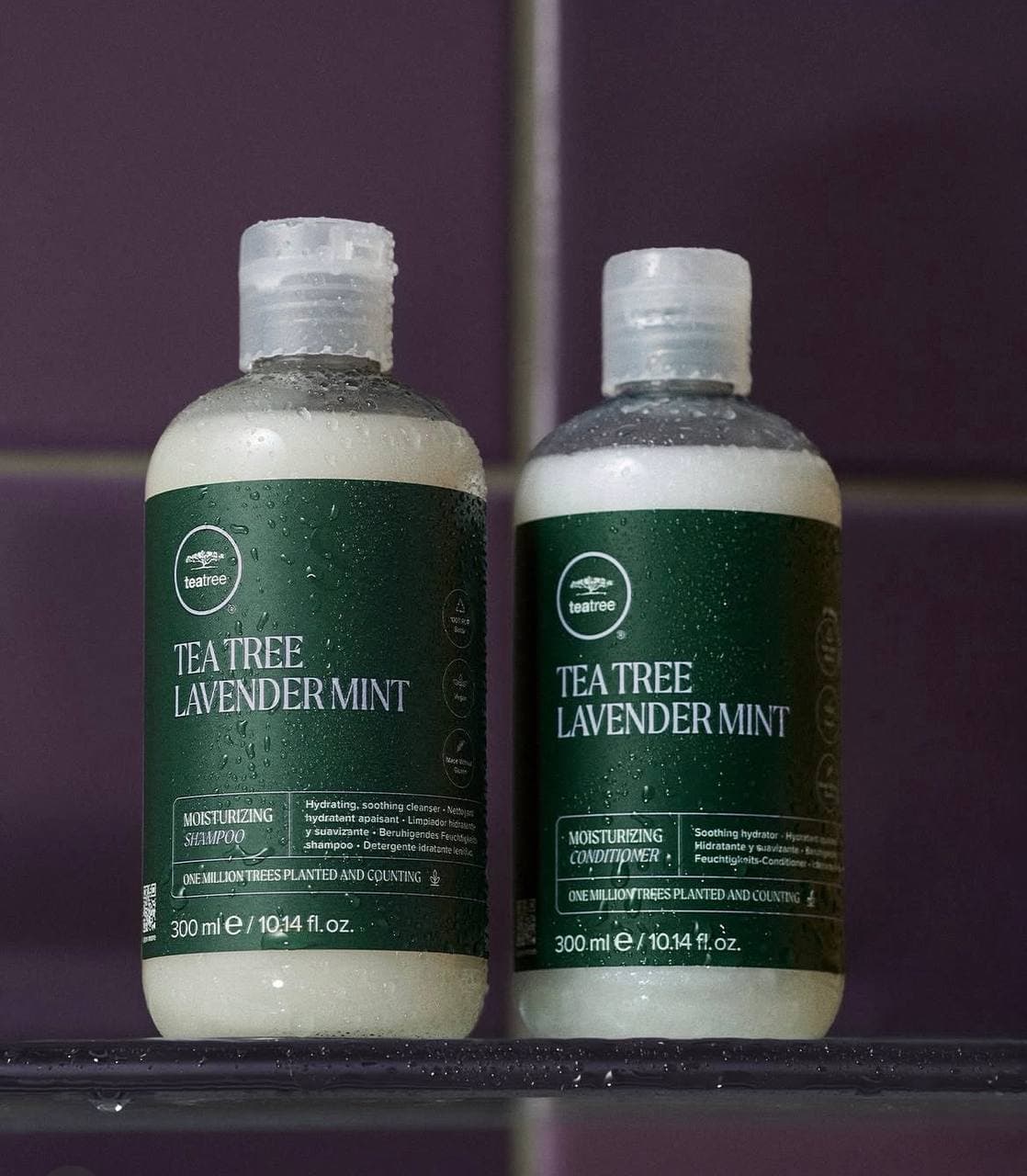 Шампунь и кондиционер Paul Mitchell Tea Tree Lavender Mint на фиолетовой плитке