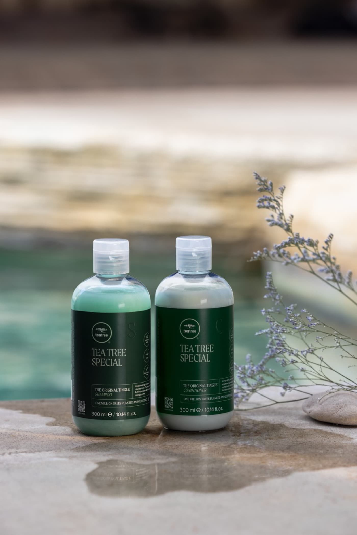 Шампунь и кондиционер Paul Mitchell Tea Tree Special у воды на камне